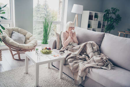 Portrait of nice sick elderly grey-haired woman lying on divan sneezing feeling bad in house flat living-room indoorsの写真素材