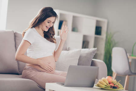Profile side photo of young cheerful pregnant woman happy positive smile speak video call laptop...