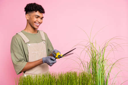 Photo portrait of curly gardener cut green grass with scissors working with plants isolated on...