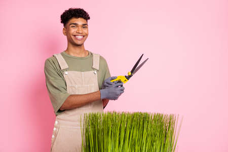 Photo portrait of curly gardener keeping sharp scissors cut green grass wearing overall isolated on pastel pink color backgroundの写真素材