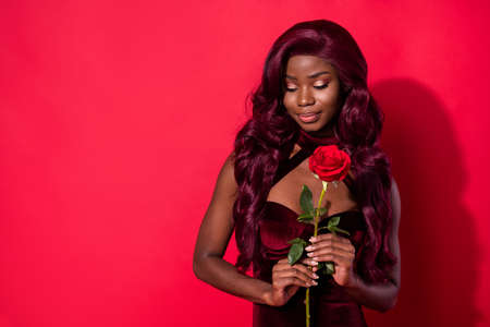 Photo of afro american charming dreamy young woman hold hands rose look copyspace isolated on red color backgroundの写真素材