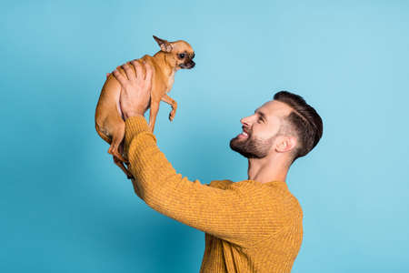Profile side photo of young happy positive handsome cheerful man holding chiahuahua isolated on blue color backgroundの写真素材
