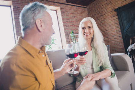 Photo of attractive positive old family husband and wife drink wine good mood celebrate indoors inside house homeの写真素材