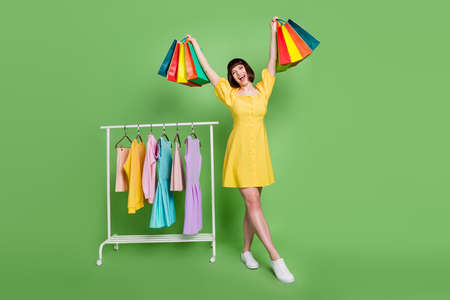 Full length photo of brunette bob haired young woman hold hands bags showroom isolated on green color backgroundの写真素材