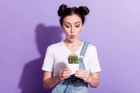 Photo of pretty impressed young woman dressed denim overall holding small cactus isolated purple color backgroundの写真素材