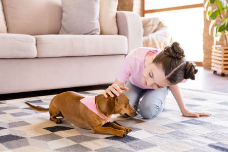 Portrait of attractive cheery affectionate preteen girl caressing doggy staying alone at light home house flat indoorsの写真素材