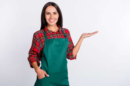 Photo of charming nice young woman hold hand object empty space pocket green apron isolated on grey color backgroundの写真素材