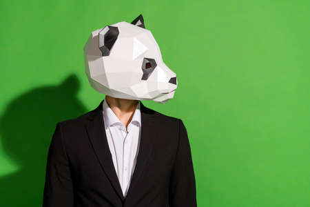 Profile photo of role-play character look side empty space wear panda head black suit isolated on green color backgroundの写真素材