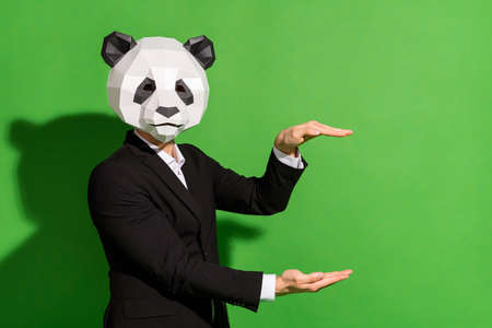 Photo of promoter corporate guy hands hold empty space wear panda head black suit isolated on green color background.の写真素材