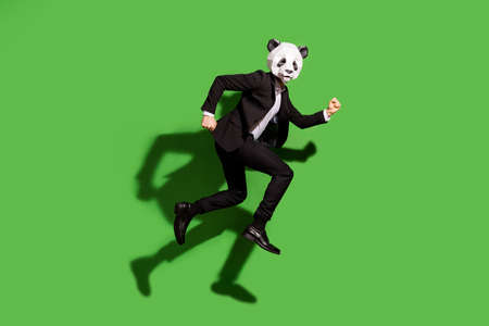 Full length body size view of classy chic motivated man wearing panda mask jumping running isolated over bright green color backgroundの写真素材