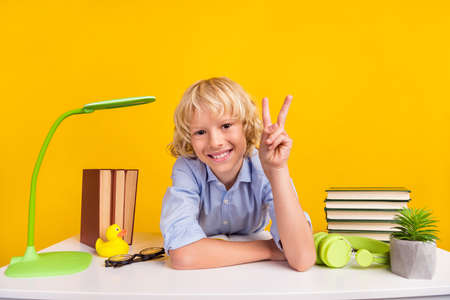 Photo of funny small boy study show v-sign wear blue shirt isolated on yellow color background