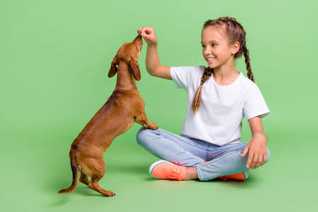 Full length body size photo little girl sitting feeding dog isolated pastel green color backgroundの写真素材