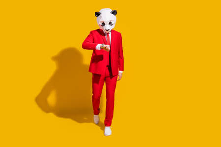 Photo of busy reliable panda guy walk look watch wear mask red suit tie sneakers isolated on yellow color backgroundの写真素材