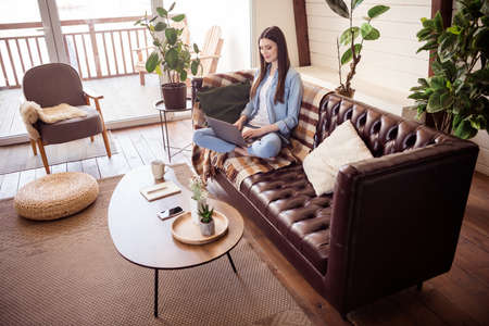 Profile side view portrait of attractive focused girl sitting on divan using laptop typing staying at home wooden house indoorsの写真素材