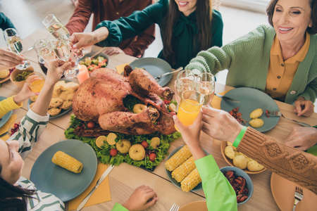 Photo of cheerful pretty family eating holiday turkey sitting table smiling cheers wine indoors house roomの写真素材