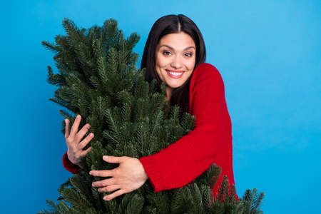 Portrait of attractive cheerful woman hugging tree good festal mood isolated over bright blue color backgroundの写真素材