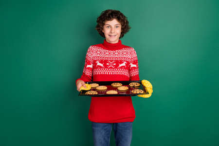 Photo of excited boy hold tray fresh baked cookies wear deer ornament sweater isolated green color backgroundの写真素材