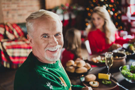 Portrait of attractive cheerful adorable careful big family sitting around table spending festal day at home house indoorsの写真素材