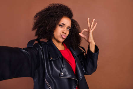 Portrait of style stylish attractive cheerful person take selfie show okey isolated on brown color backgroundの写真素材