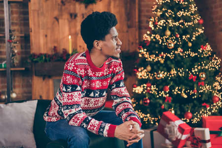 Photo of thoughtful pretty dark skin guy dressed print pullover looking christmas tree indoors house home roomの写真素材