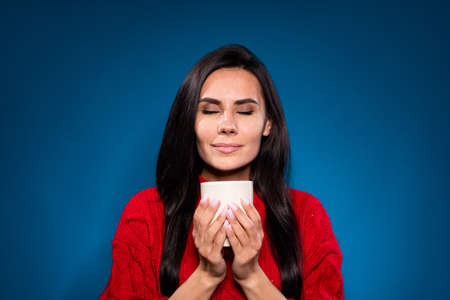 Photo of cute dreamy young woman dressed red pullover enjoying beverage aroma isolated dark blue...