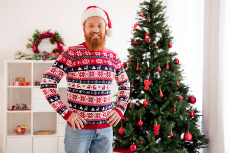 Photo of young man happy positive smile christmas tree holiday winter decoration wear sweater indoorsの写真素材