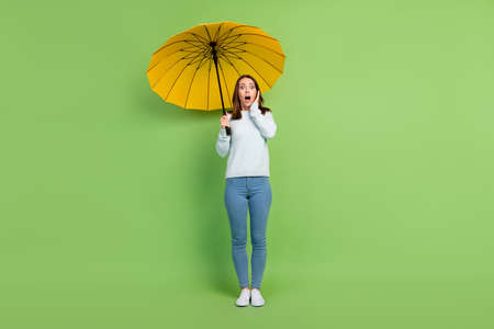 Full length photo of scared young brunette lady with umbrella wear jumper jeans sneakers isolated on green backgroundの写真素材