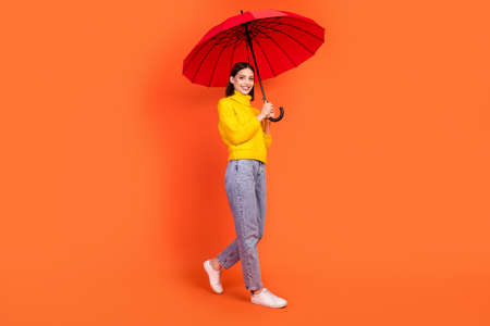 Full body profile side photo of young woman happy positive smile rainy protect parasol fall isolated over orange color backgroundの写真素材