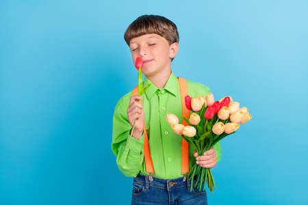 Photo of happy charming cheerful small boy smile hold hands tulips smell isolated on blue color...