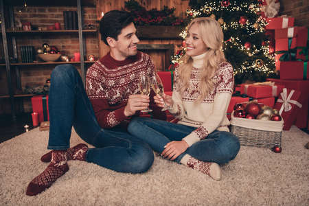 Portrait of two attractive cheerful spouses drinking wine congratulating spending festal tradition newyear time day evening indoorsの写真素材