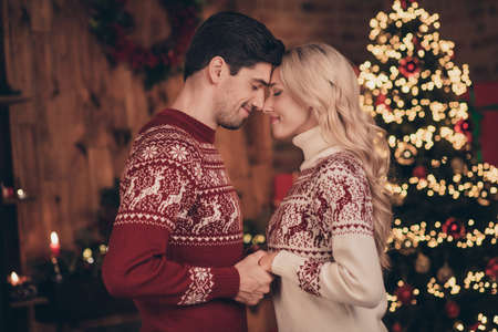 Profile side view portrait of two attractive dreamy cheerful married spouses holding hands spending festal day December indoorsの写真素材