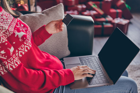 Cropped photo of lady hold credit card netbook screen empty space online shopping concept in decorated x-mas home indoorsの写真素材