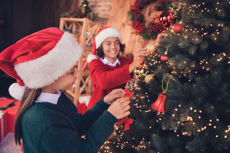 Profile side view portrait of attractive cheery siblings santa helpers preparing event hanging decor evergreen at decorated loft home indoorsの写真素材