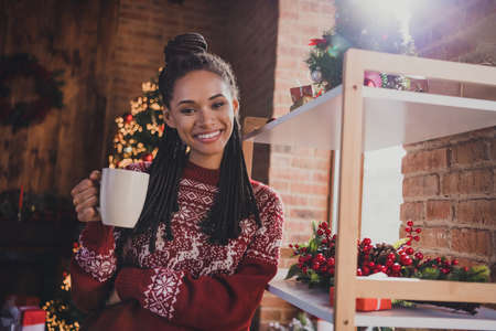 Photo of adorable positive relaxed lady drink x-mas coffee beverage wear pullover in decorated home indoorsの写真素材