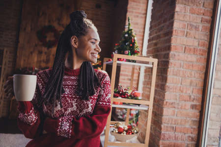 Photo of dreamy inspired lady drink cacao look window imagine event wear pullover in decorated home...
