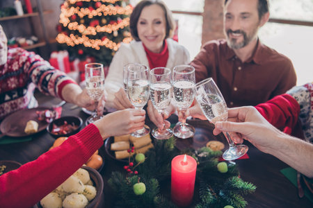 Photo of retired pensioned grey hair wife husband people xmas glass clink christmas toast indoors inside houseの写真素材