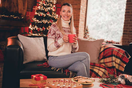 Photo of sweet adorable young lady dressed print pullover enjoying christmas tasty beverage smiling...