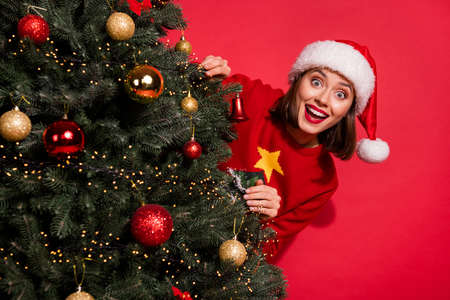Photo of charming shocked young lady dressed print pullover smiling hiding christmas tree isolated...