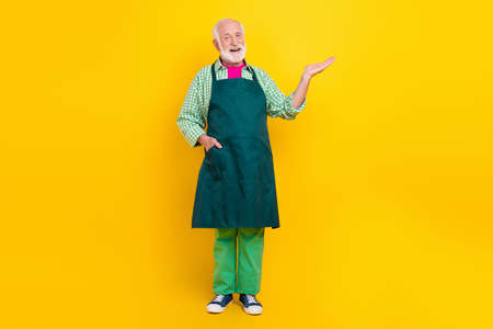 Full length body size view of attractive cheerful man barista holding on palm copy space isolated over bright yellow color background.の写真素材