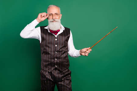 Photo of clever reliable teacher direct pointer empty space wear glasses striped suit scarf on green...