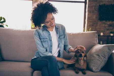 Photo of young happy dark skin woman smile sit sofa dog companion enjoy rest indoors inside house home flatの写真素材