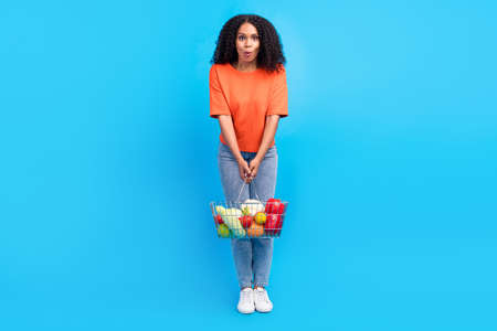 Full body photo of cheerful happy afro american young woman hold basket groceries isolated on blue...