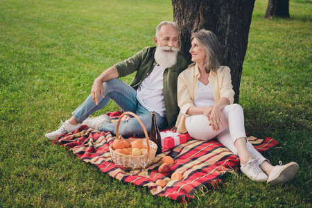 Fulll size photo of cute eder white hair couple look sit wear casual shirts outdoors picnic in parkの写真素材