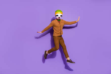 Full body portrait of crazy anonymous red panda jumping flight isolated on violet color backgroundの写真素材
