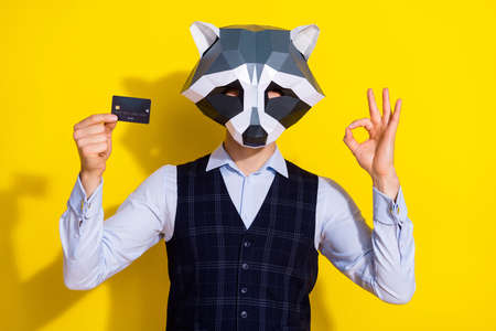 Photo of weird anonym banker guy racoon mask hold debit card demonstrate okey symbol isolated over yellow bright color backgroundの写真素材