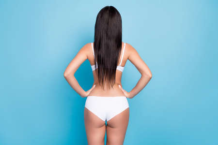 Back photo of brown long hairdo lady stand wear lingerie isolated on blue color background