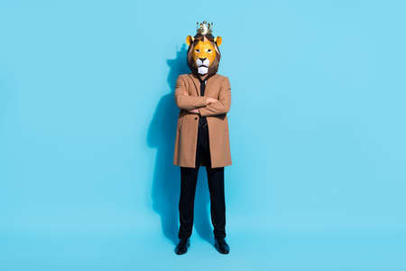 Full length photo of weird guy lion mask cross hands incognito theme festive occasion isolated over blue color backgroundの写真素材