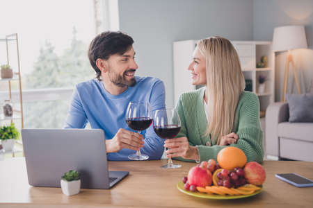 Photo of affectionate spouses guy lady sit table have quarantine date toast wineglass plate fruits apartment indoors roomの写真素材