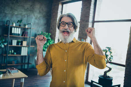 Portrait of attractive cheerful lucky gray-haired man economist having fun yes goal breakthrough at work place station indoorsの写真素材