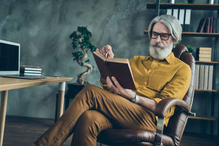Portrait of attractive intellectual gray-haired man specialist reading dictionary at loft interior...